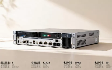 p1媒体服务器到底多少钱，如何选择性价比高的p1媒体服务器？