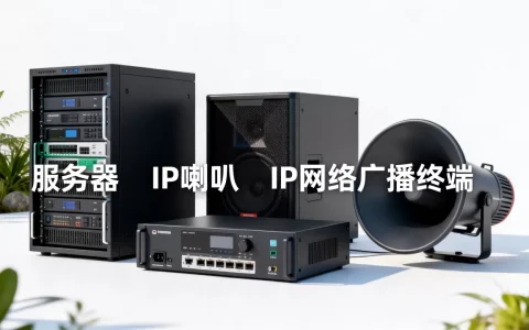 一个服务器能带多少IP喇叭，IP网络广播能带多少终端？