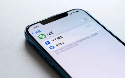 微信里预置了多少服务器IP，如何查看详细列表？