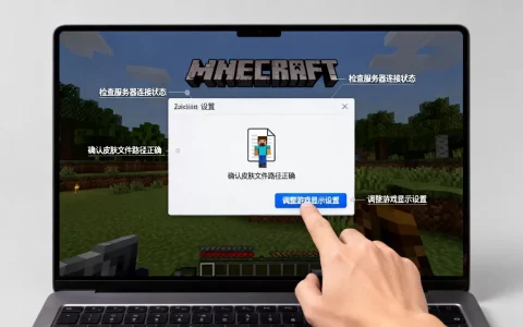 e世界服务器看不到皮肤如何解决，我的世界皮肤不显示怎么办