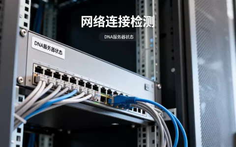 温十DNA服务器没有响应怎么解决,服务器没有响应是什么原因