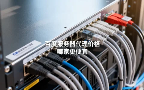 你知道百度服务器代理多少钱吗？,哪家便宜