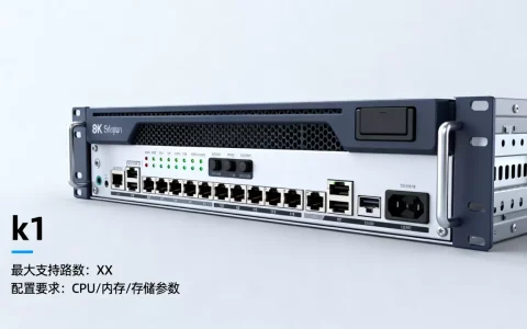 k1服务器最多支持多少路，配置要求是什么？