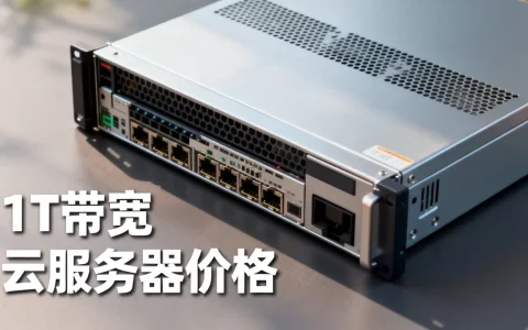 服务器1t带宽多少钱？,云服务器带宽价格贵不贵
