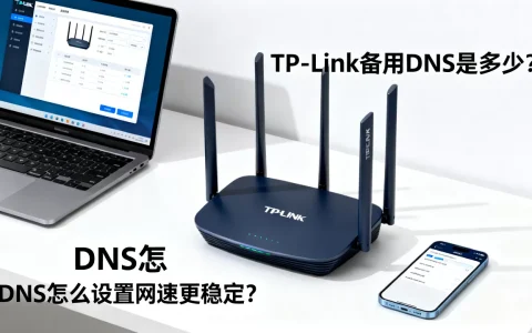 TP-Link备用DNS是多少？，DNS怎么设置网速更稳定？