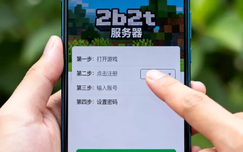 手机版2b2t服务器到底怎么注册？，注册流程是什么？