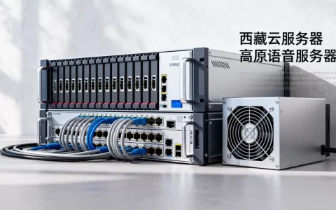 西藏语音服务器有哪些推荐，哪家性价比高？