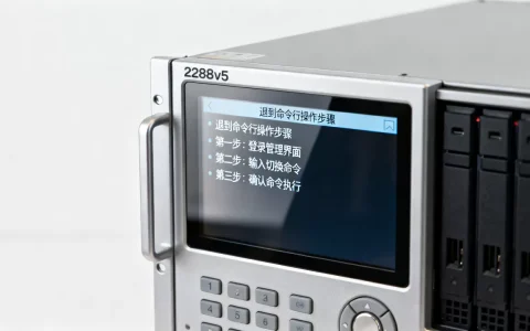 2288v5服务器怎么退到命令行，具体操作步骤是什么