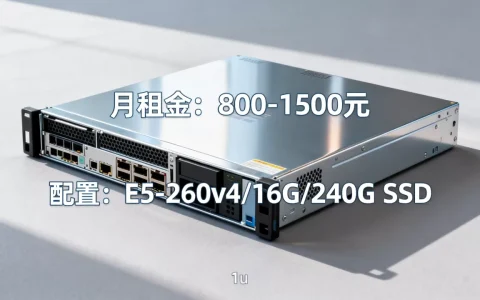 1u服务器到底要多少钱，租用价格贵不贵？