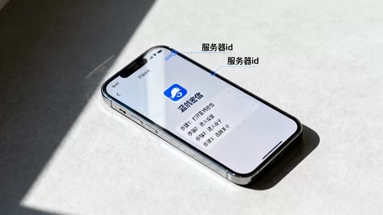 蓝鸽密信怎么看自己的服务器id,有哪些方法? 蓝鸽密信怎么看自己的服务器id,有哪些方法?