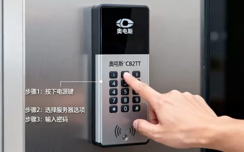 奥的斯lcb2tt如何进入服务器，具体操作步骤是什么？