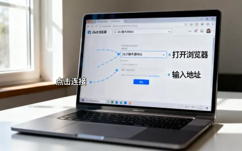电脑版如何进入2b2t服务器，2b2t服务器地址怎么填？