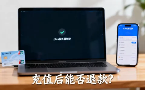 plus服务器锁了充的点卡怎么办，点卡充值后能不能退款？