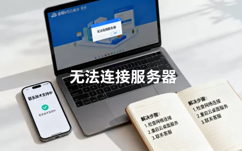 金蝶kis云桌面为什么登录不上服务器？，怎么解决
