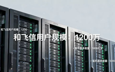 和飞信服务器到底多少人？，使用人数规模如何