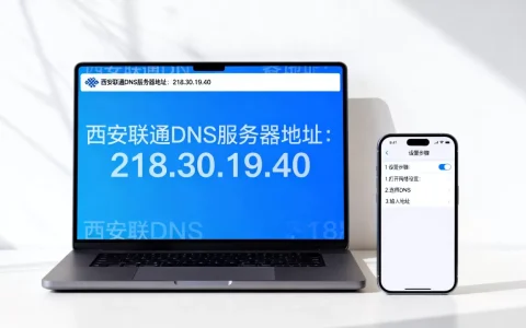 西安联通dns服务器地址是多少，怎么设置？