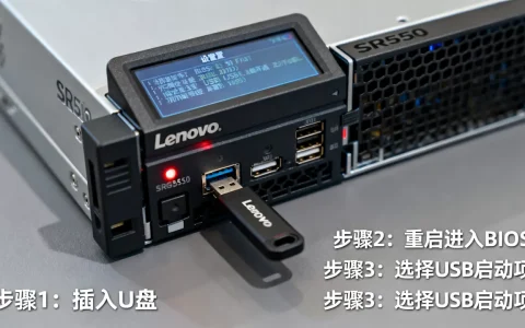 联想SR550服务器如何U盘启动？，设置步骤是什么？