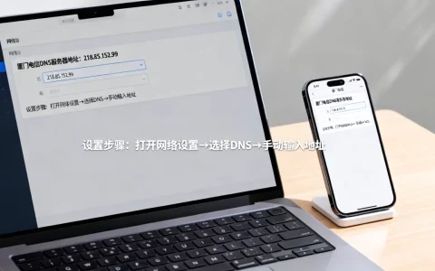 厦门电信dns服务器地址是多少，怎么设置？