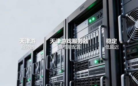 天津游戏服务器有哪些选择，天津游戏服务器哪家好？