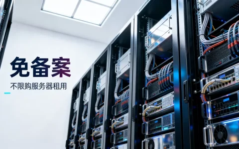 不限购的服务器到底有哪些，哪里可以租用免备案不限购服务器？