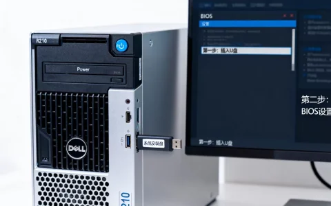 dellR210服务器如何用U盘装系统？,安装步骤有哪些