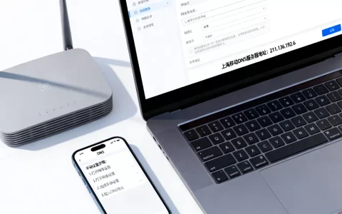 上海移动DNS服务器地址是多少？,如何手动设置更稳定？