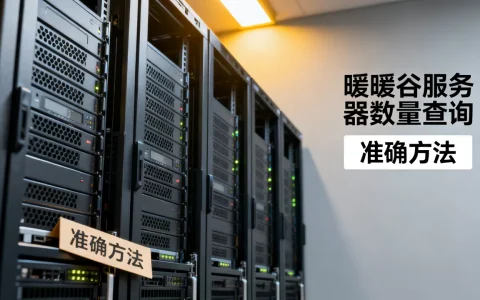 暖暖谷到底有多少个服务器呢，怎么查最准确？