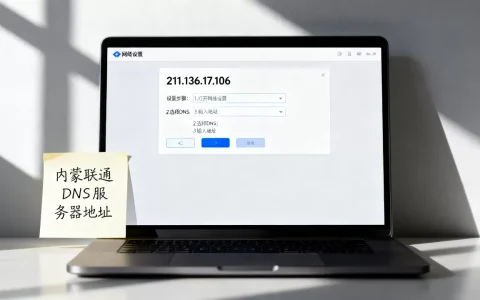 内蒙联通DNS服务器地址是多少，怎么设置？
