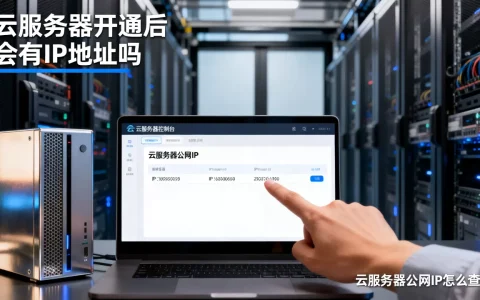 云服务器开通后会有IP地址吗，云服务器公网IP怎么查看？