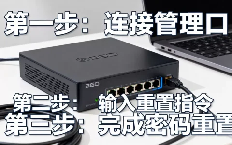 360服务器管理口IP密码忘了怎么解决，密码重置步骤是什么