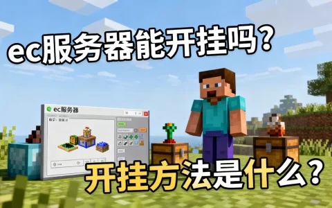 我的世界中国版ec服务器能开挂吗，开挂方法是什么？