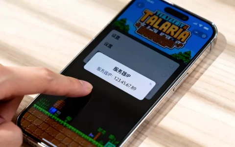 手游泰拉瑞亚怎么查服务器ip，服务器ip在哪看？