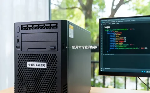 如何看服务器名字知道几个CPU？，服务器CPU核数怎么查