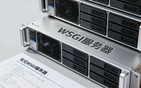 常见的WSGI服务器都有哪些，WSGI服务器是什么