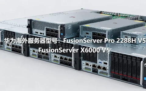 外国华为服务器有哪些？，华为海外服务器型号有哪些？
