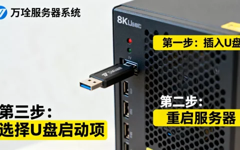 万全服务器U盘装系统怎么操作，安装步骤是什么
