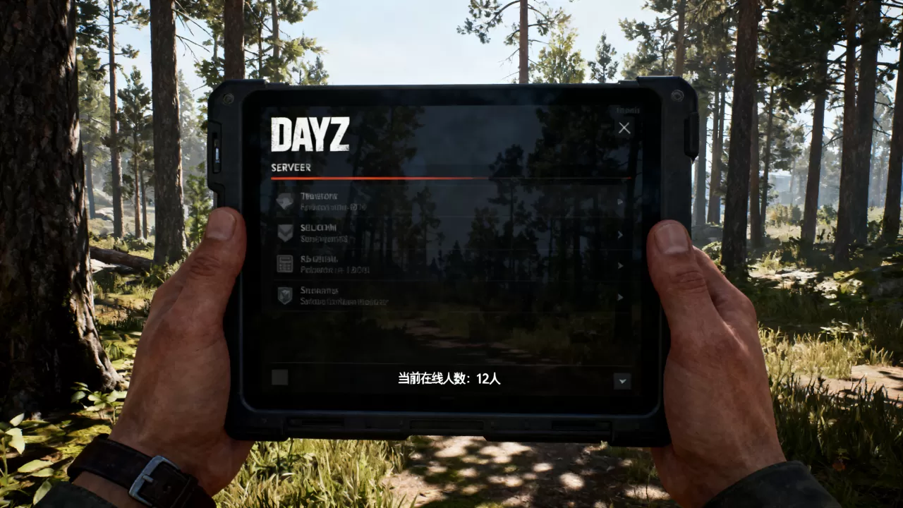 dayz如何快速知道服务器有多少人,有什么方法? dayz如何快速知道服务器有多少人,有什么方法?