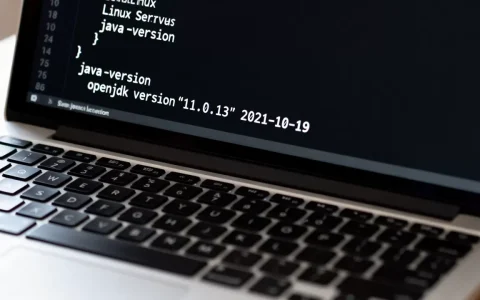 服务器jdk版本怎么查，linux查看jdk版本命令是什么？