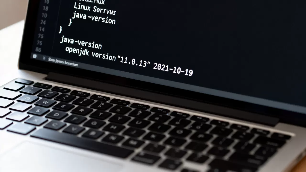服务器jdk版本怎么查,linux查看jdk版本命令是什么? 服务器jdk版本怎么查,linux查看jdk版本命令是什么?