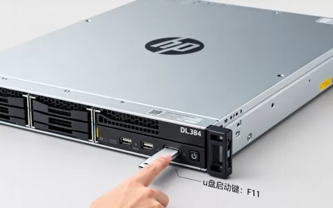 hp服务器dl388e如何u盘启动？，u盘启动按哪个键