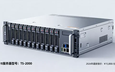 tt服务器多少钱一个，2026年最新报价是多少？