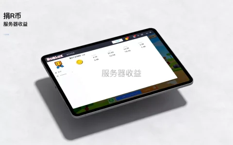 Roblox捐R币服务器能赚多少，捐R币怎么赚钱？