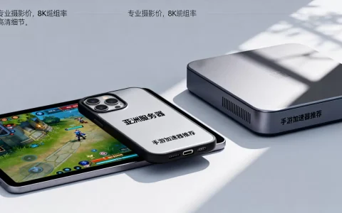 哪些手游有亚洲服务器？,手游加速器哪个好用