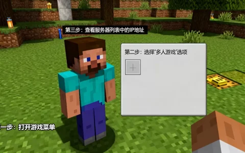 我的世界游戏内怎么看服务器IP，具体步骤是什么？