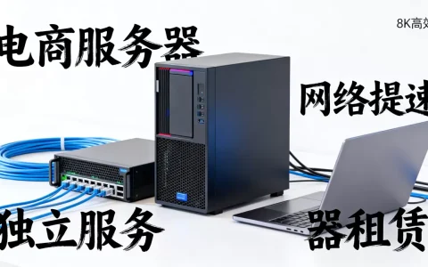 杭州电商访问慢租独立服务器能提速吗，怎么租？