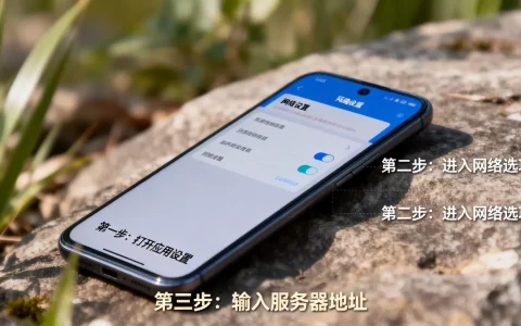 怎么设置应用网络连接服务器地址？，有哪些步骤？