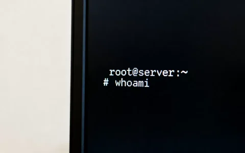 服务器怎么看哪些是root用户？，用什么命令查看？