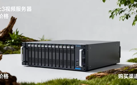 c3视频服务器到底多少钱，哪里买更便宜？