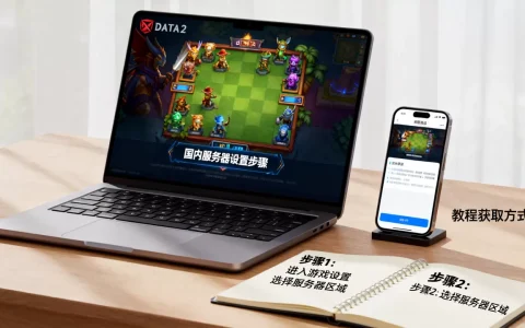 dota2自走棋怎么设置国内服务器，哪里有教程？