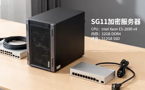 如何搭建SG11加密服务器，需要哪些配置？